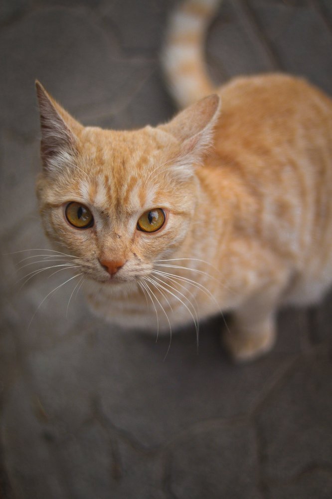 Photograph by Symbat Zhamalbay