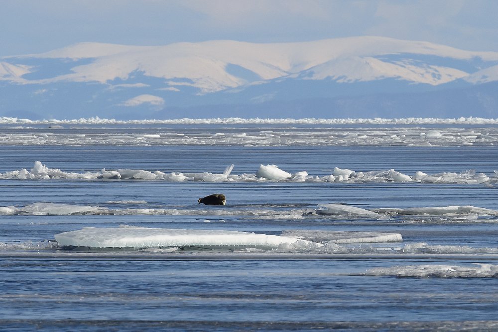 Весенний Байкал