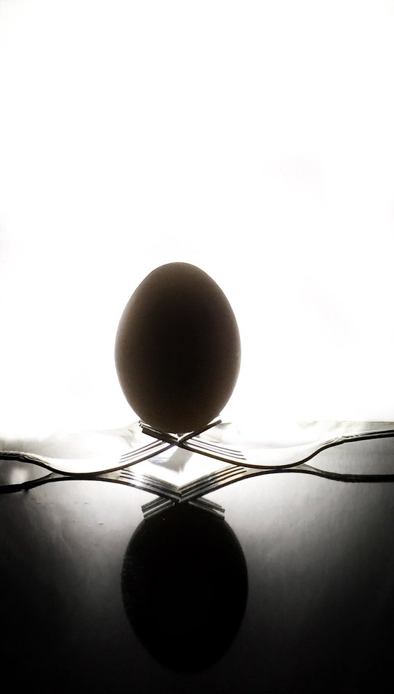 It’s all about egg.