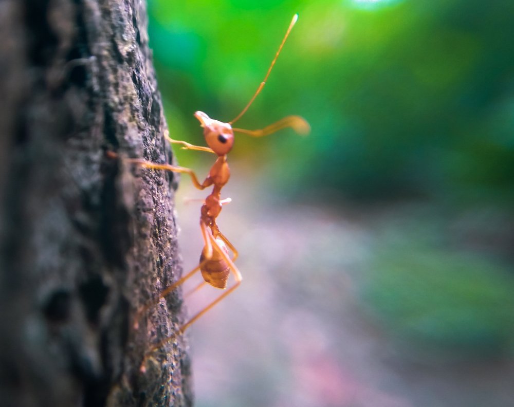 People of under world