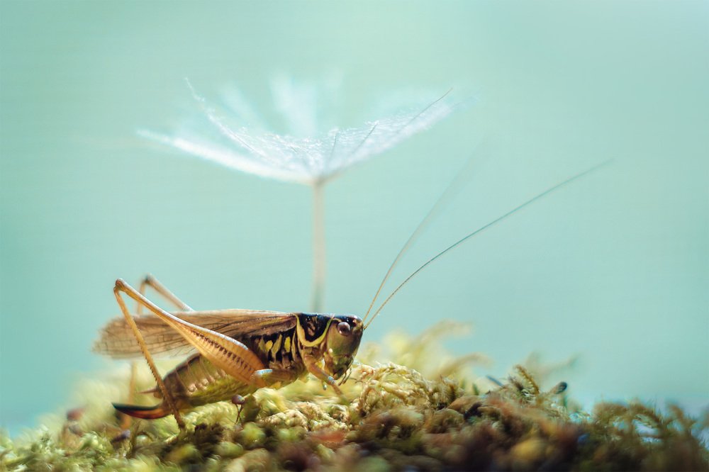 Photograph by Аксана Чалова