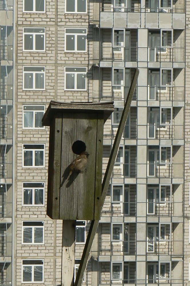 дом сдан  с новосельем.!.