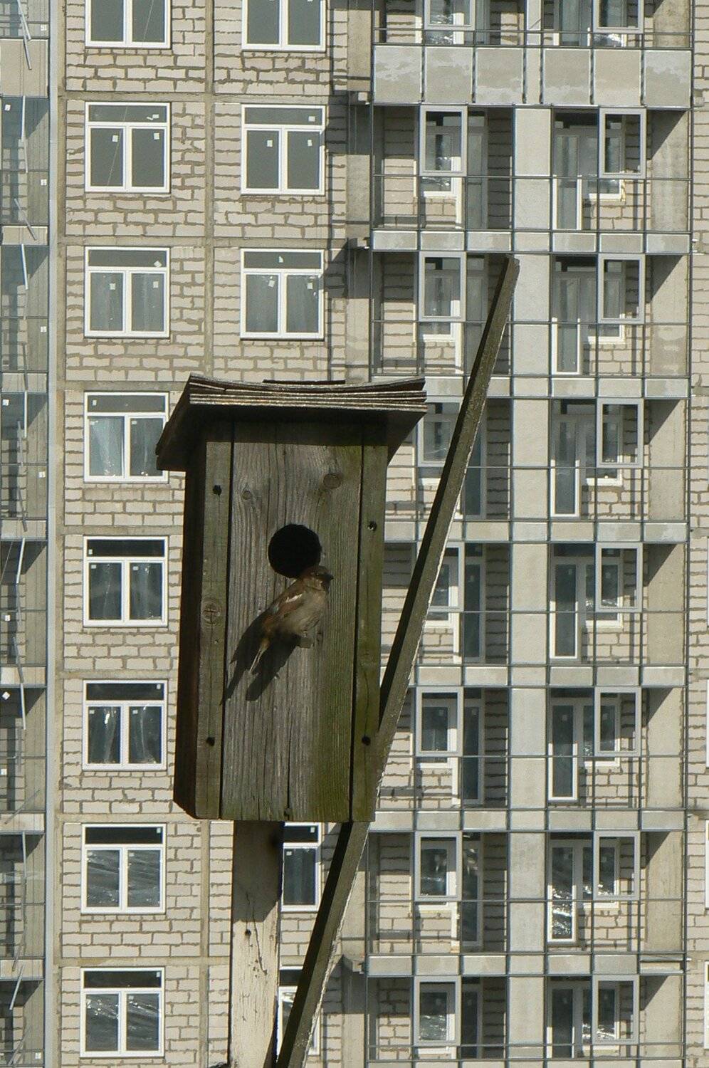 дом сдан  с новосельем.!.