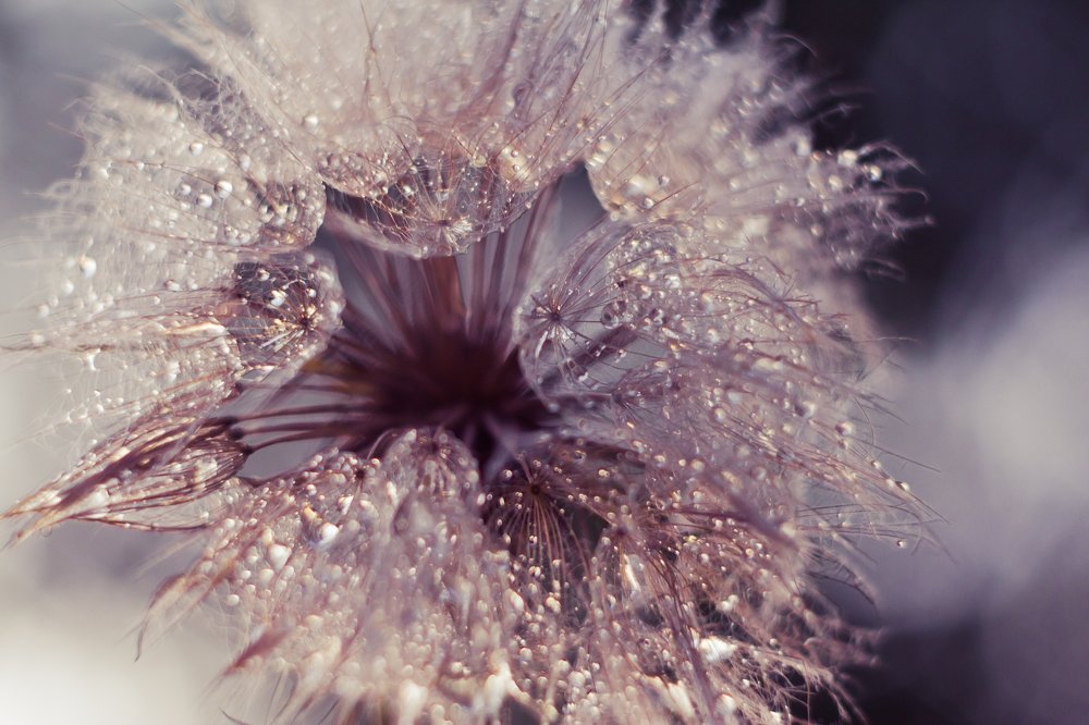 незаметное чудо