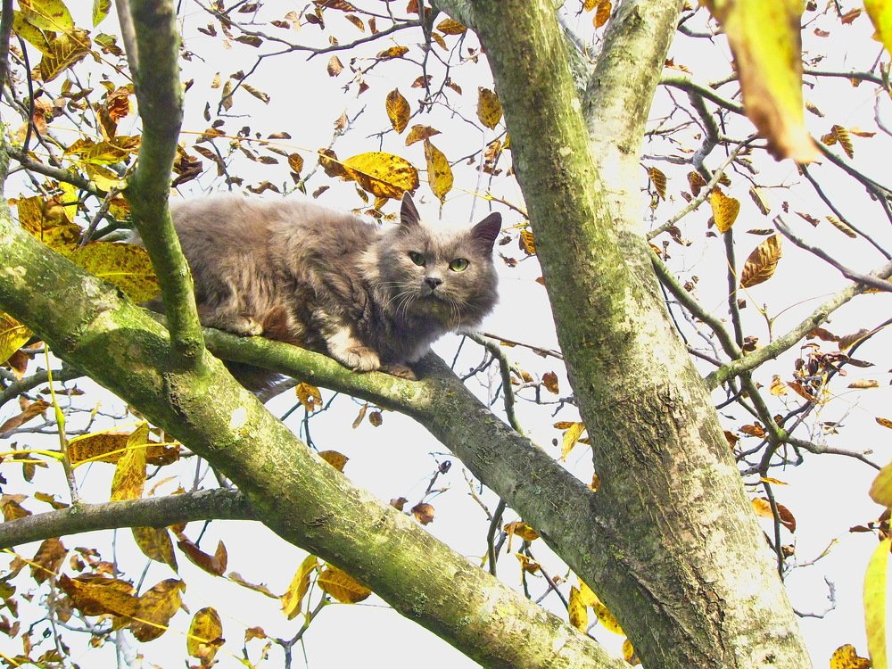 Photograph by Лозинский Ярослав