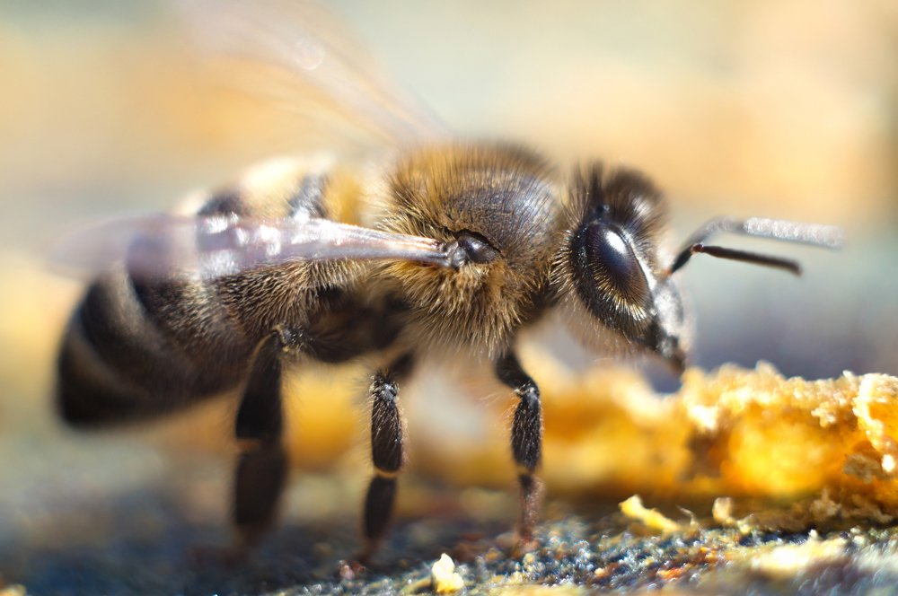 Photograph by Gabriel Wolf