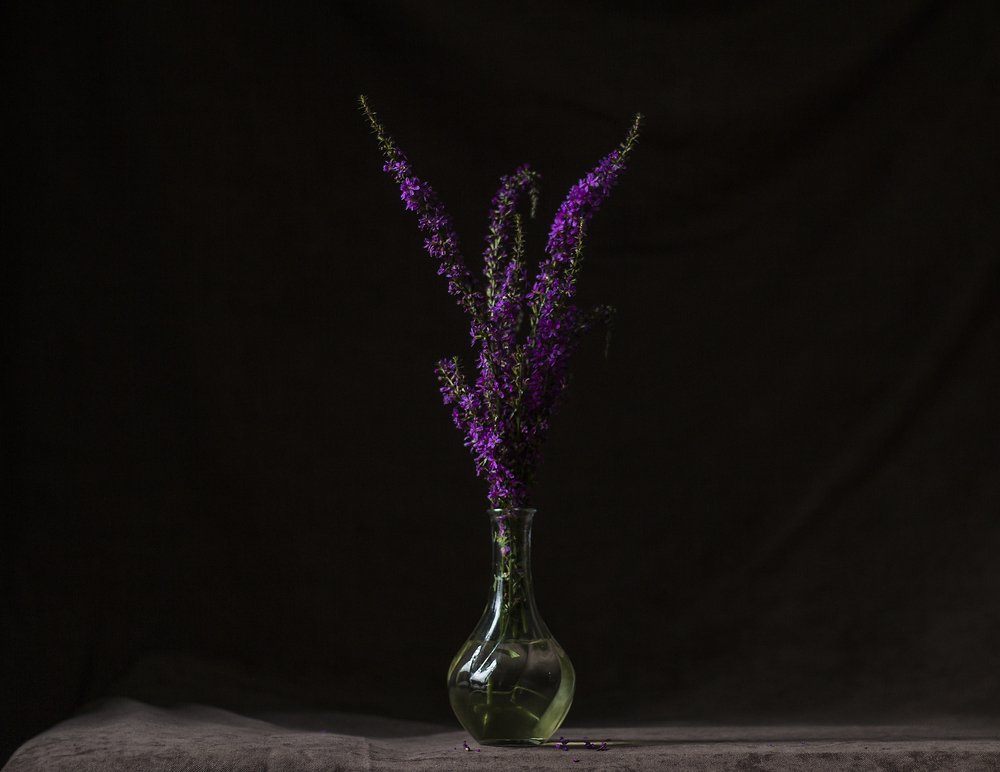 Photograph by Мария