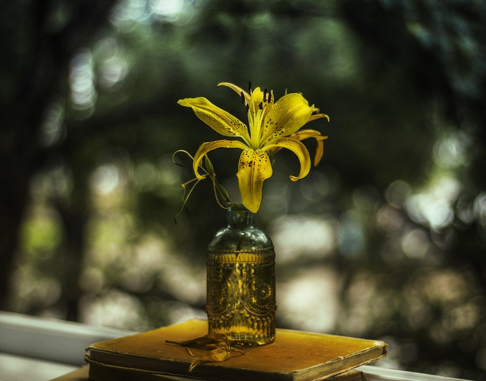 Photograph by Мария