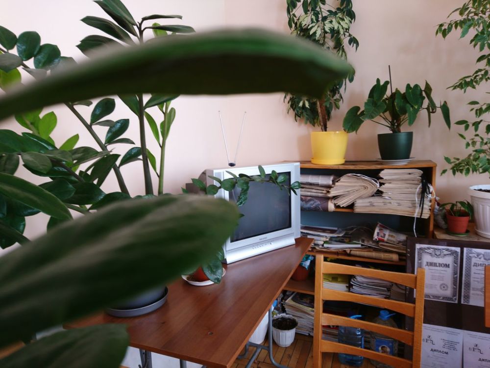 Photograph by Татьяна Савченко