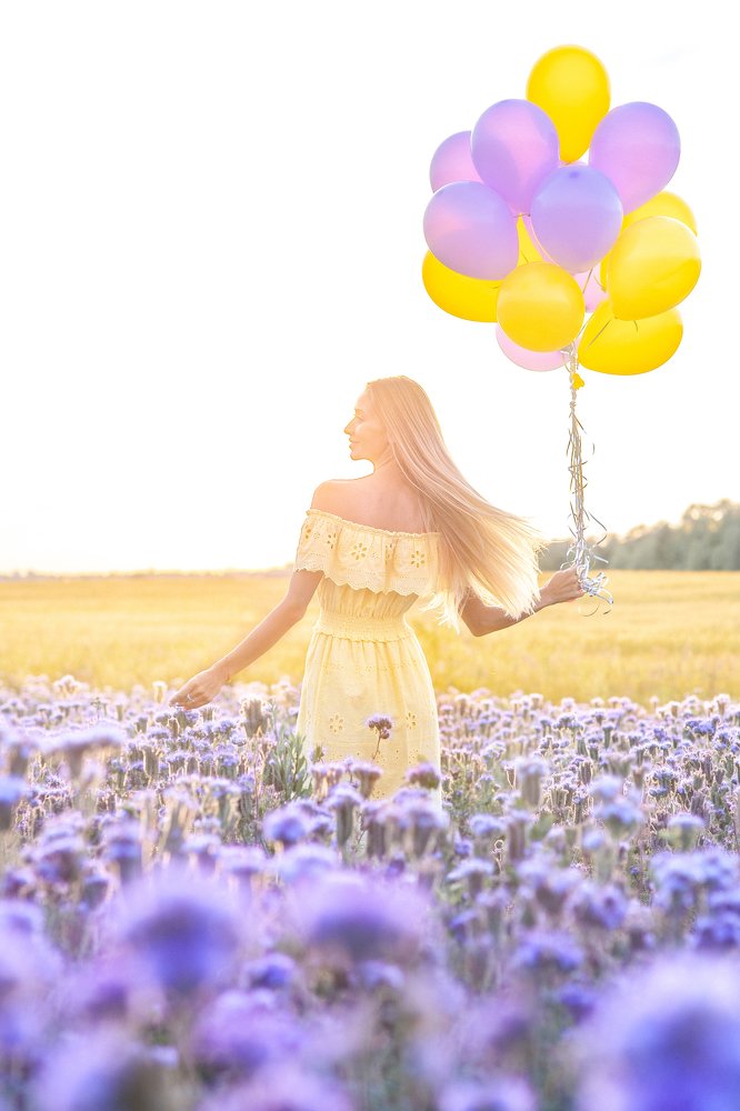 Солнечная фацелия