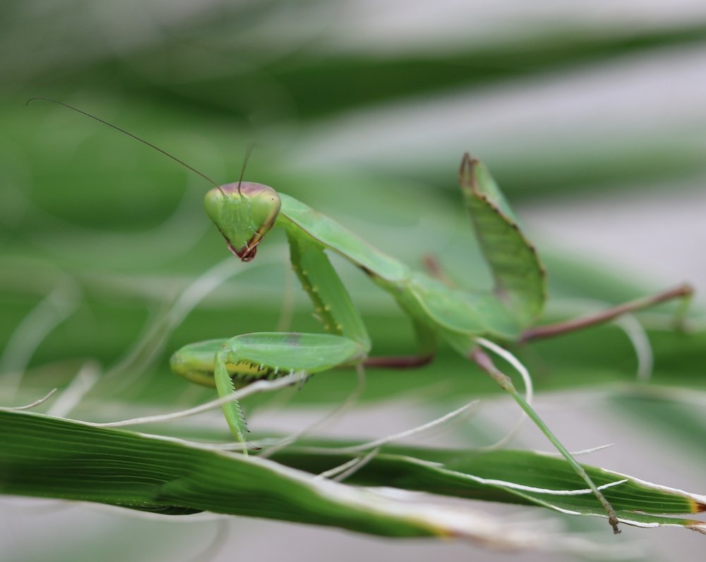 Photograph by Hamed Omidi