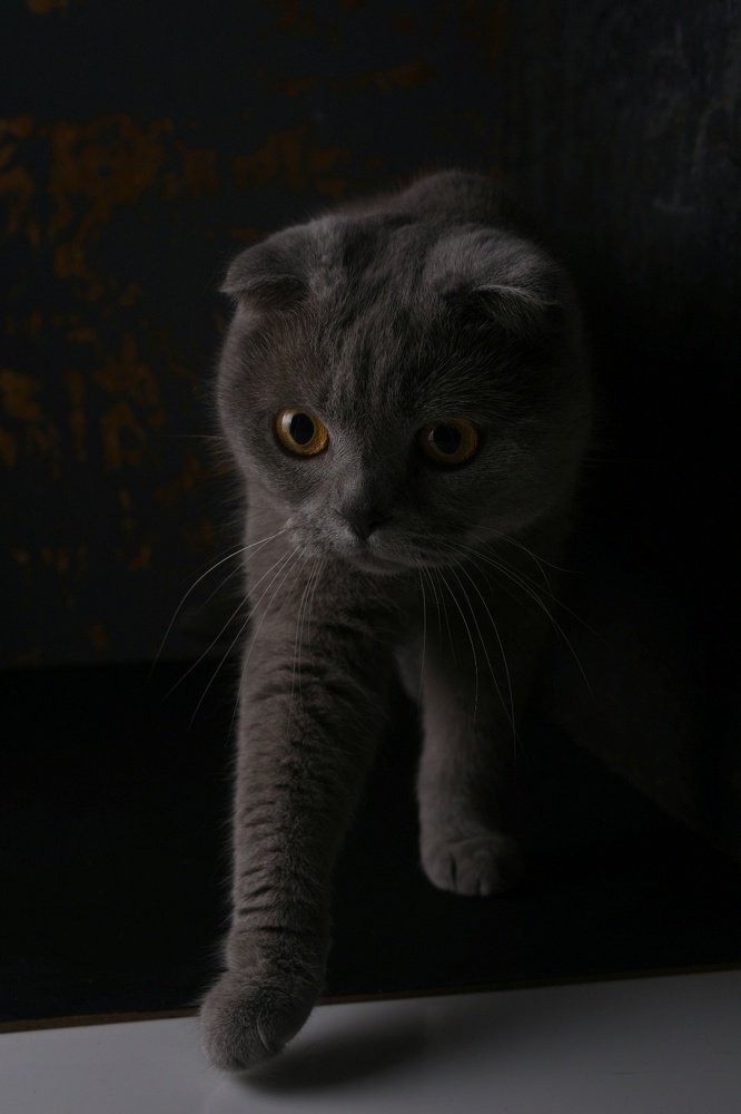 Переход на  светлую сторону