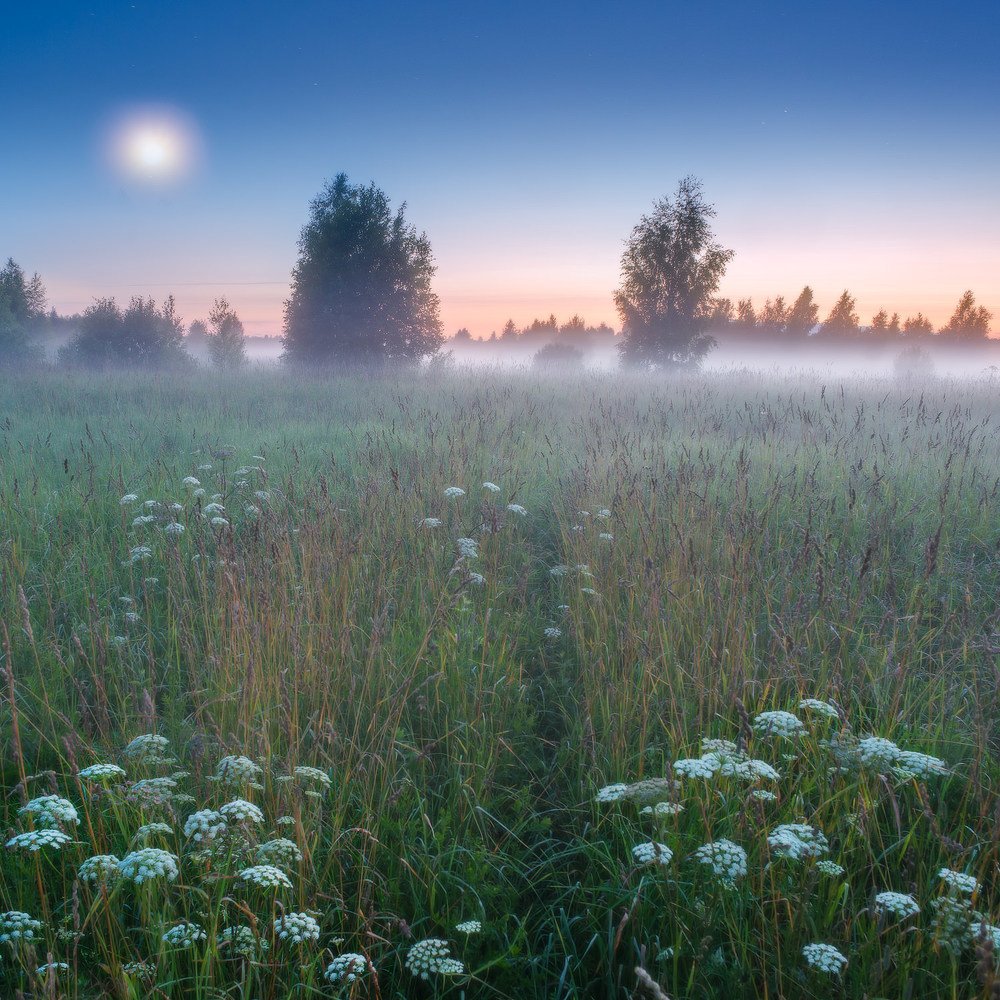 На восходе Луны.