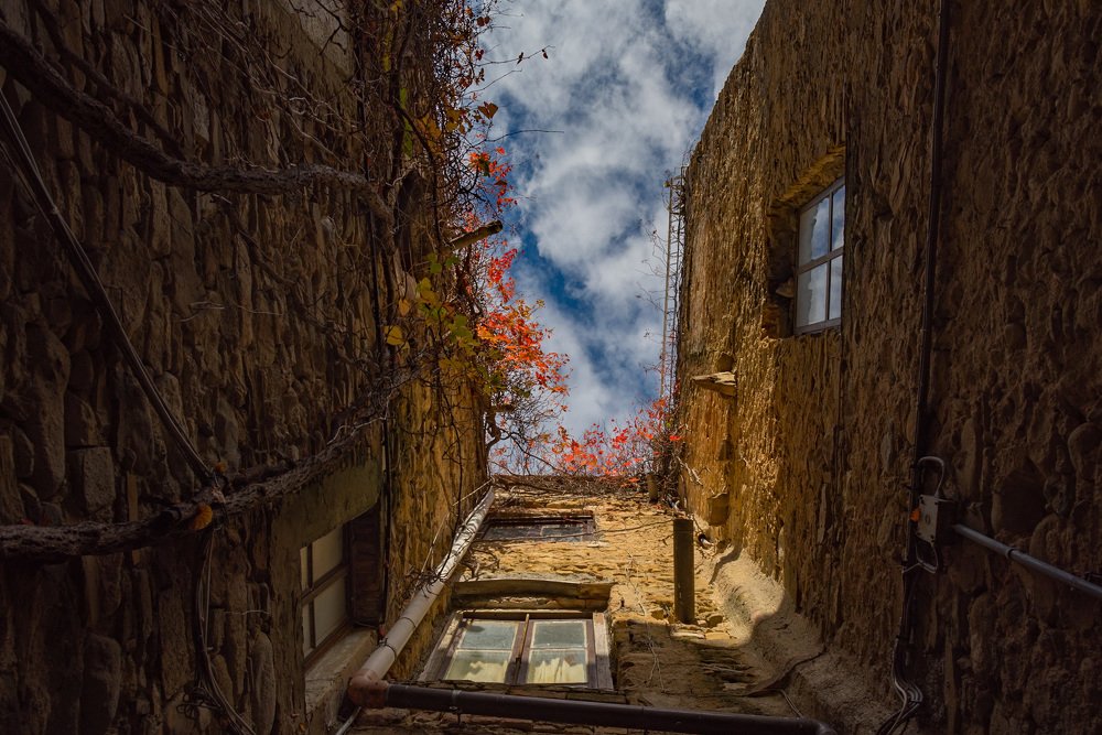 Photograph by Николай Пузанкевич