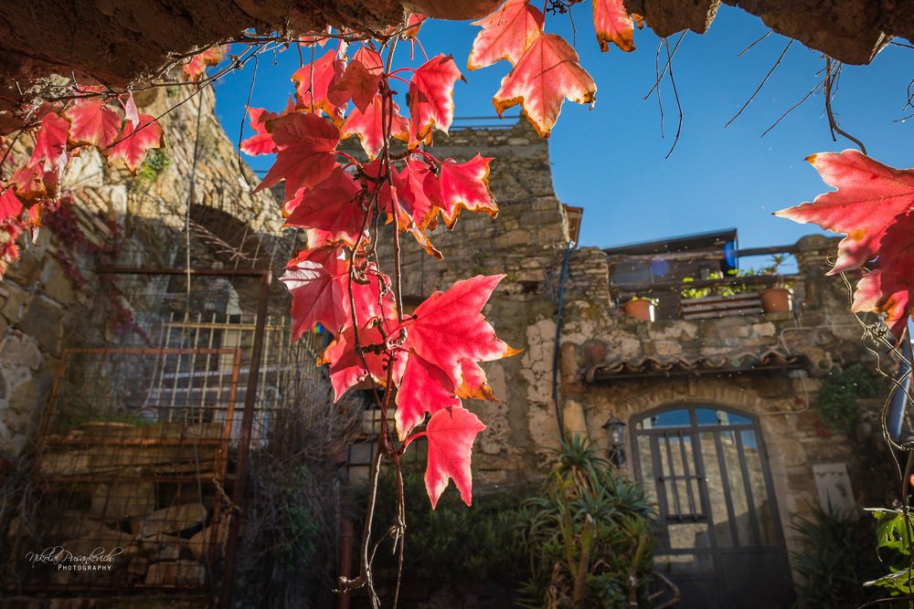 Photograph by Николай Пузанкевич