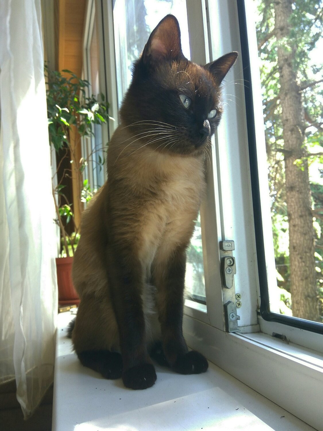 Взгляд