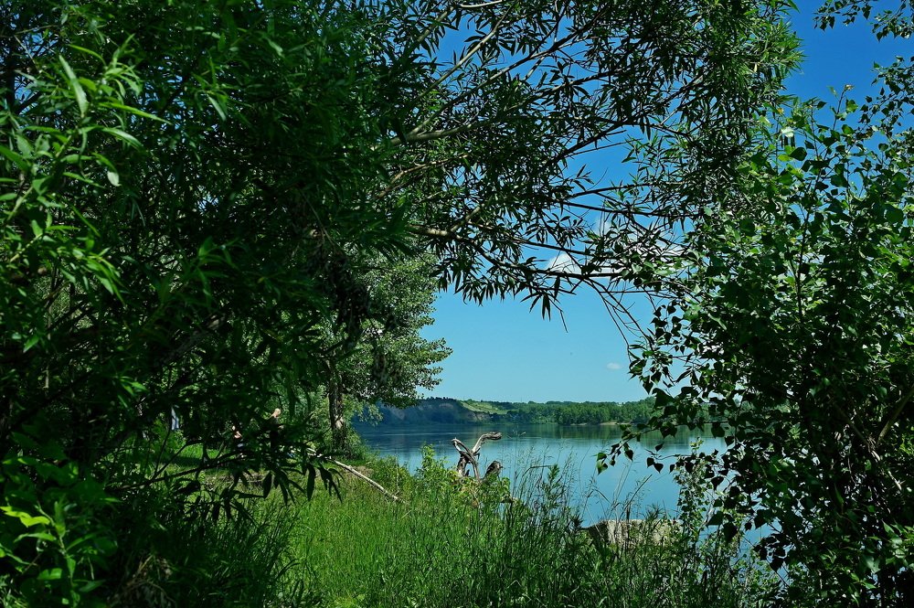 Река Бия.