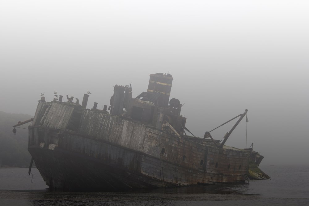 Photograph by Никита