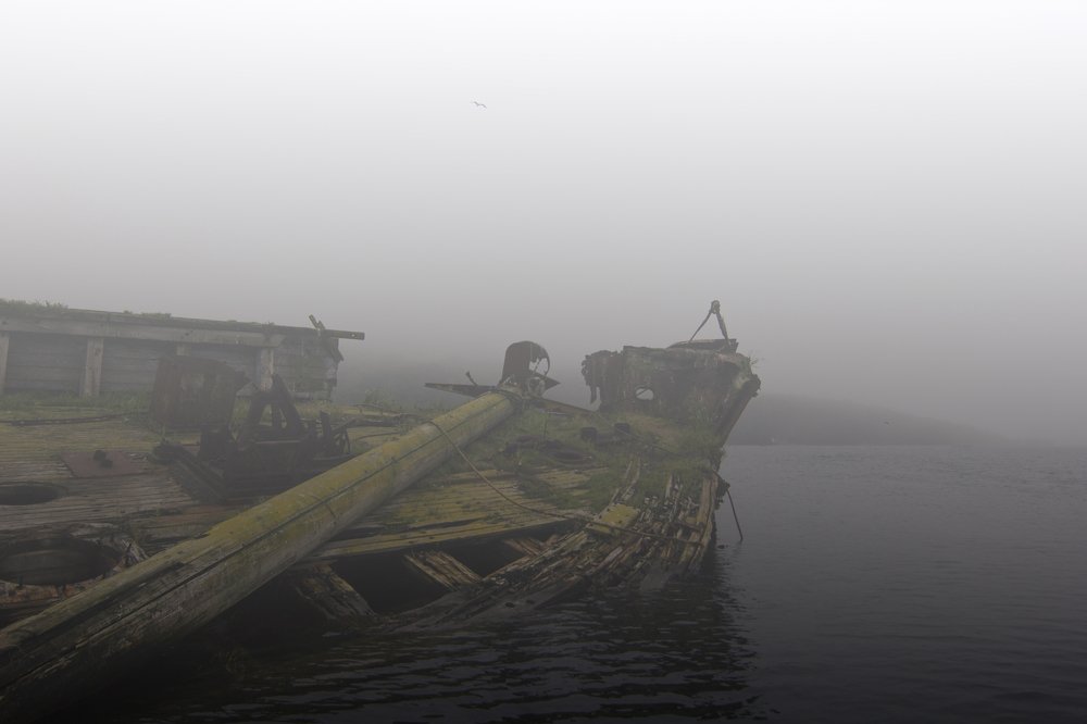 Photograph by Никита