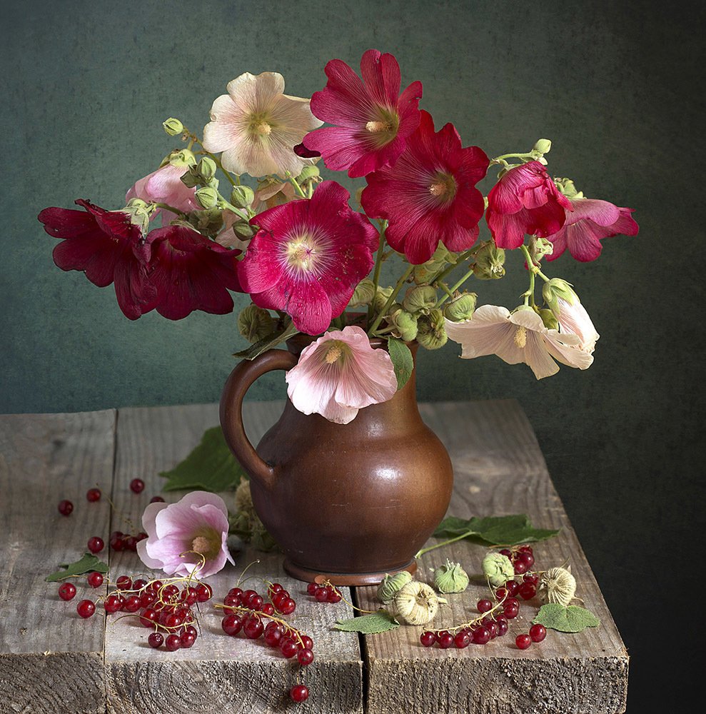 Фотография автора Марина Кулакова