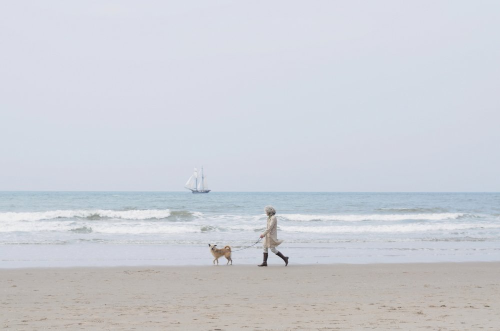 Дама с собачкой