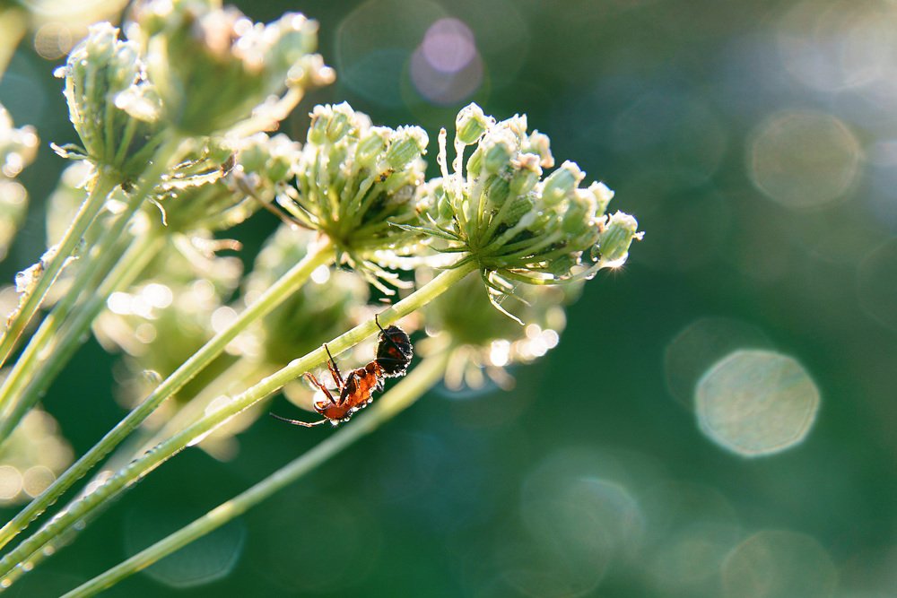 Photograph by Печерских Ксения