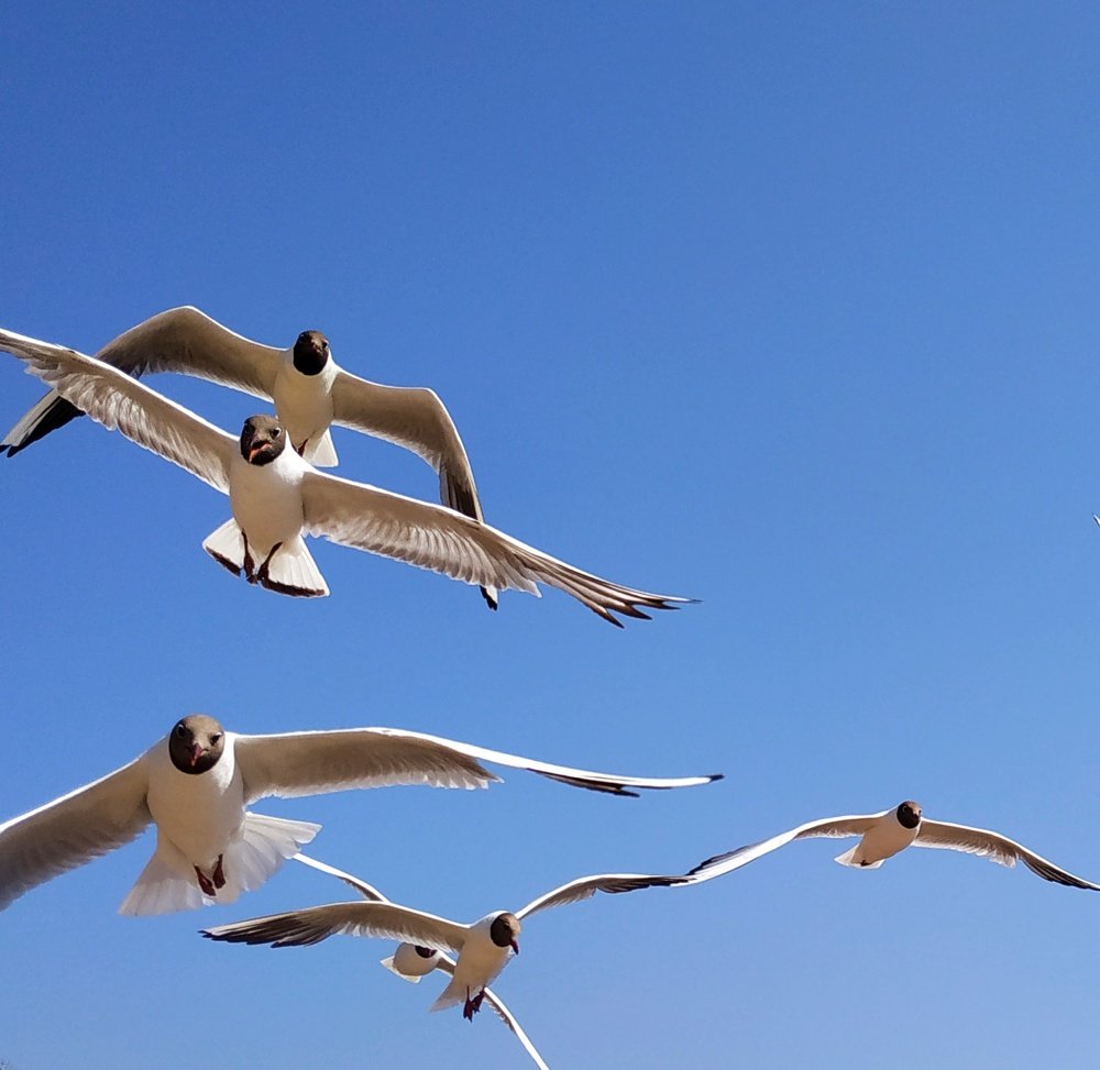 Photograph by Екатерина Бевзенко