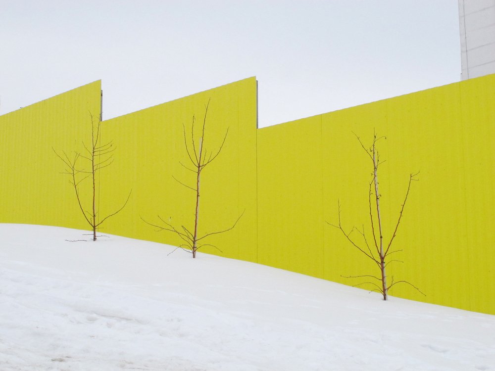 Ростки супрематизма