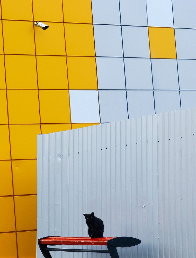 Photograph by Aeromast