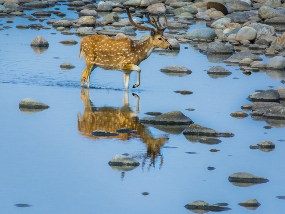 Sky Reflection