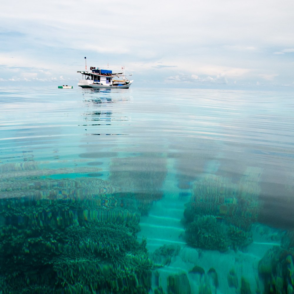 Полдень / Noon