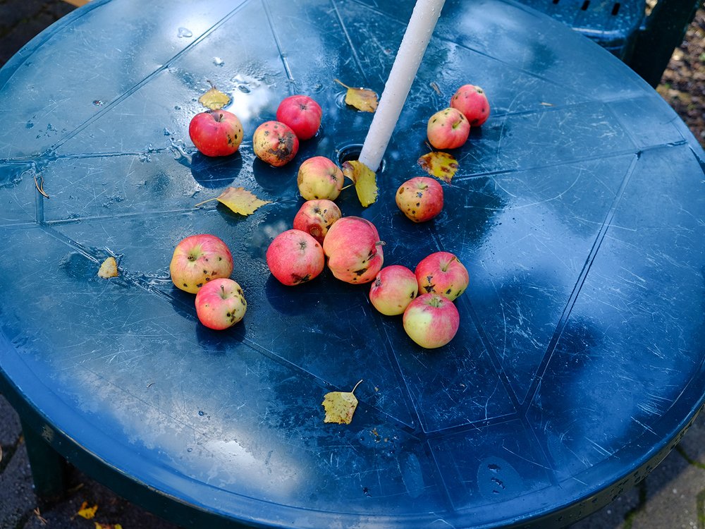 В круге небесного цвета