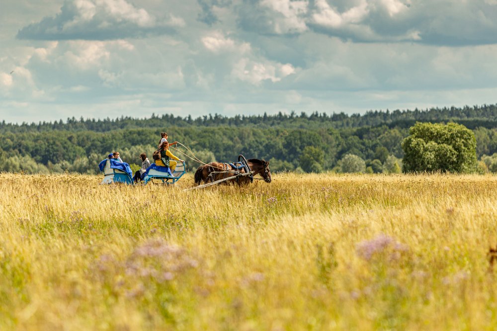 Photograph by Виталий Са