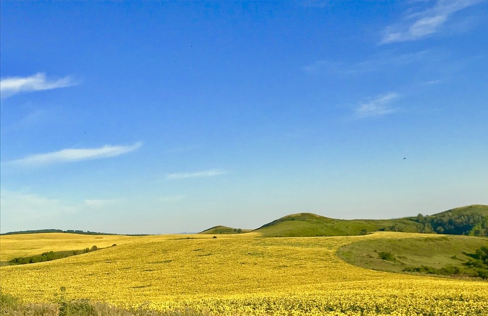 Photograph by Анар Амирова