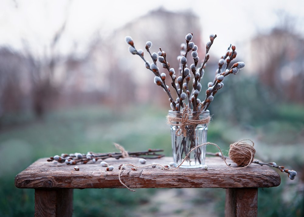 15 дней до весны...