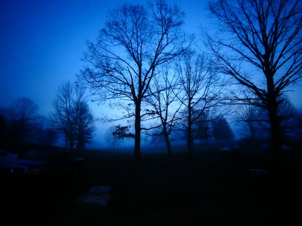 Голубая ночь.