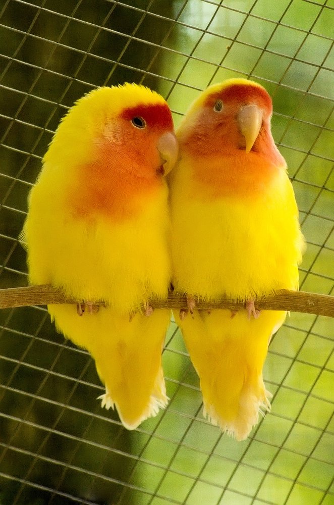 Photograph by Петр