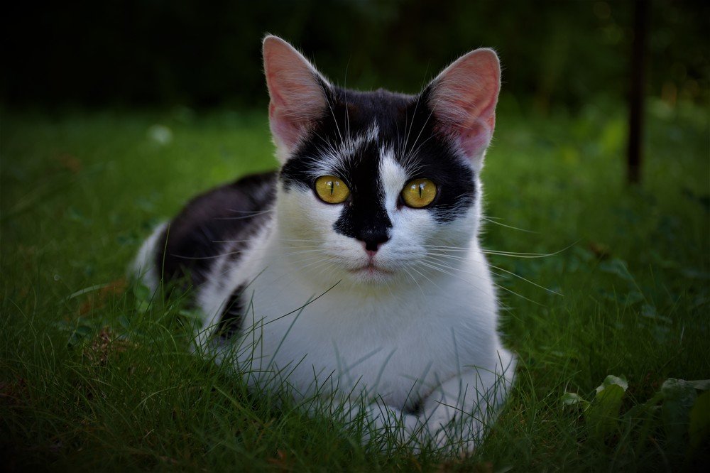 Photograph by Mykhailo Makarov