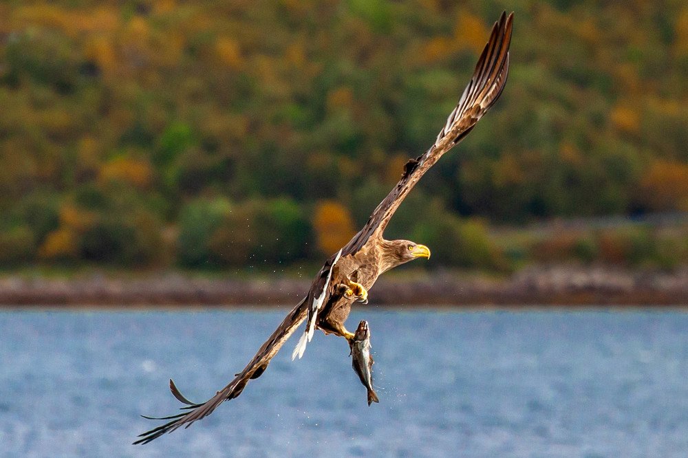 Photograph by Геннадий