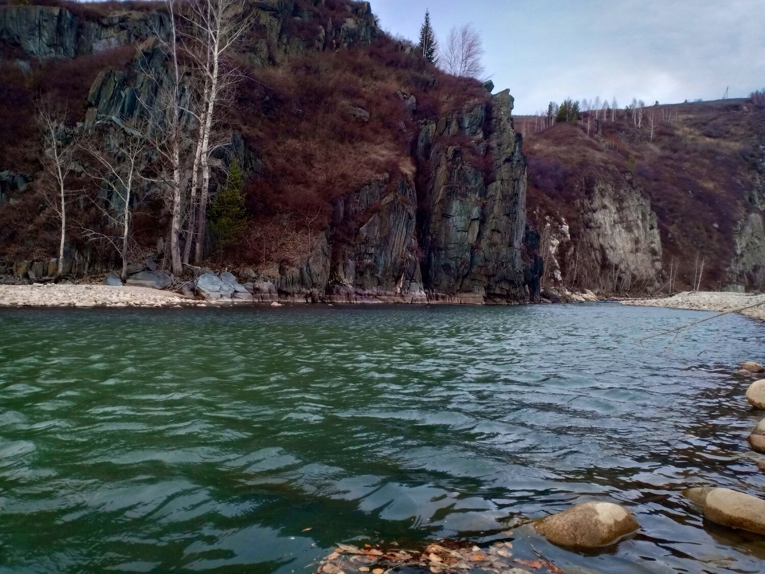 Photo #3487540