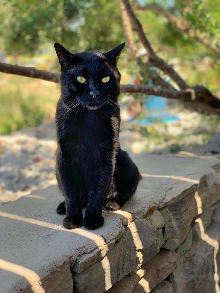 Photograph by Марина Неберекутина