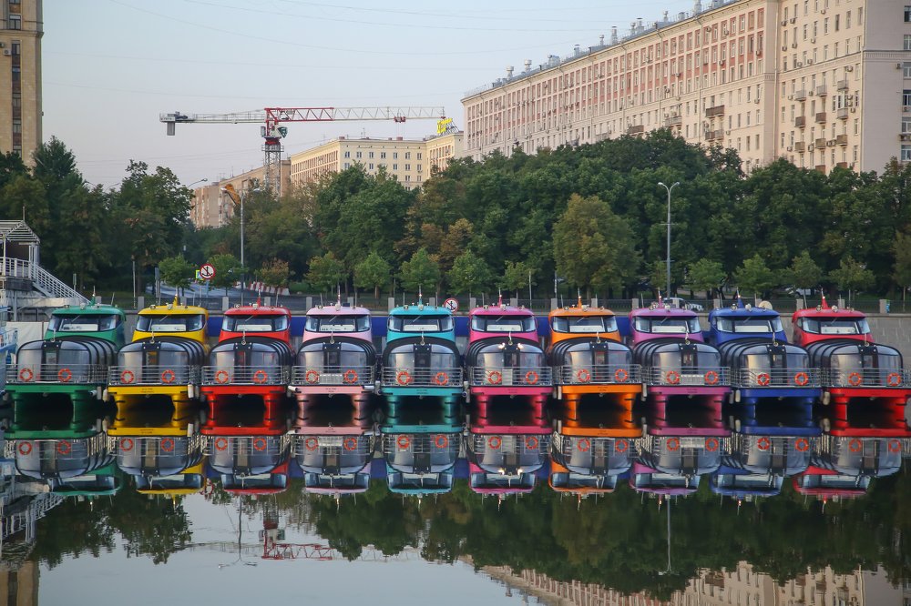 сонное утро