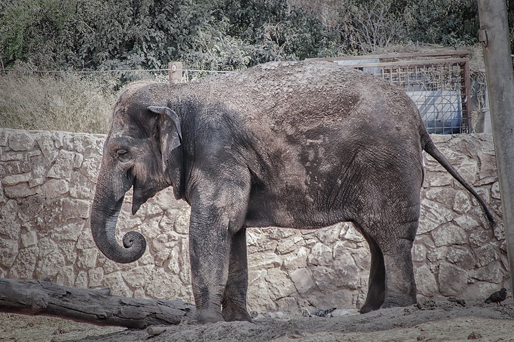 Photograph by Тася Карагодина