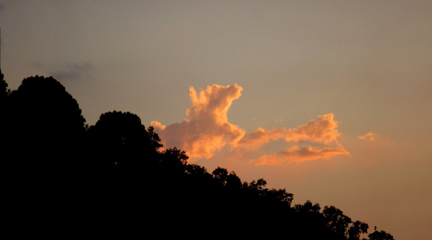 The Anonymous Cloud
