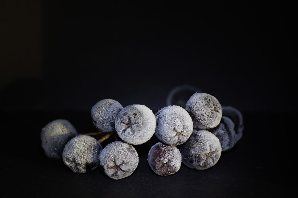 Замороженная ягода