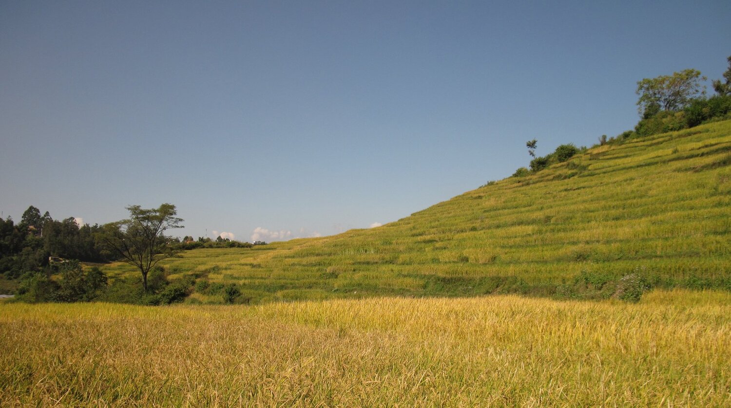 Terrain