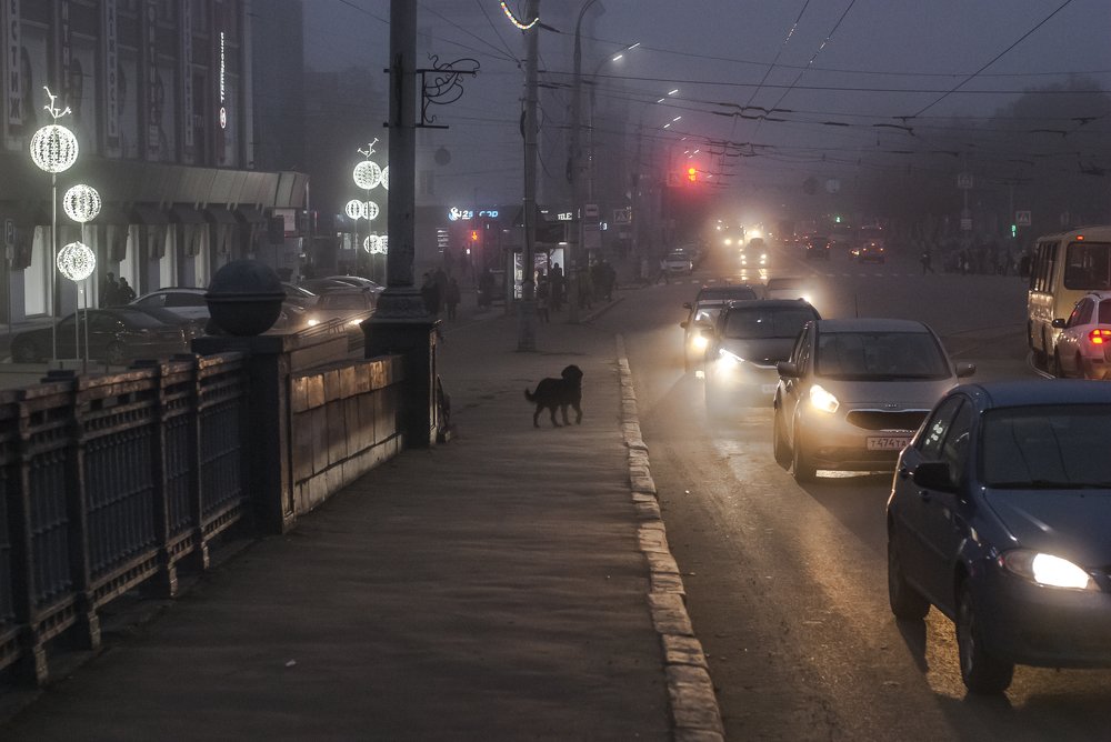 Город одиночества