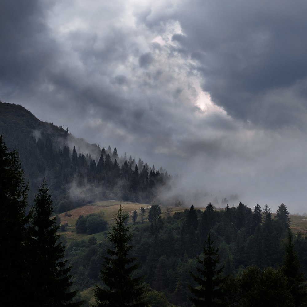 Fog in the mountains