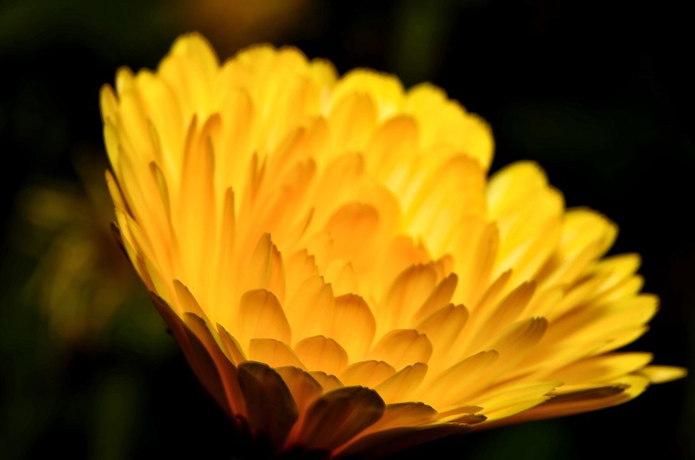 Photograph by Алексей Фомичев