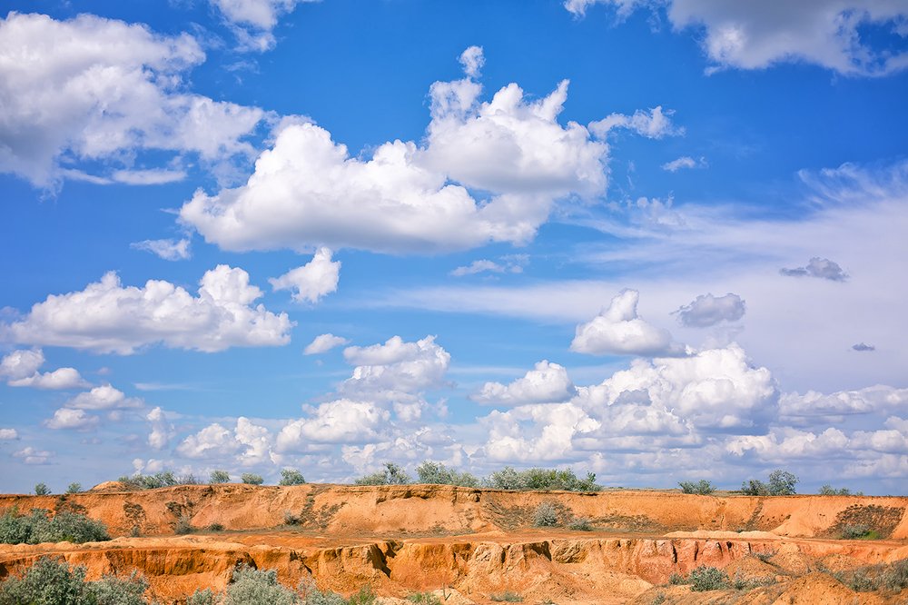 Белогривые лошадки